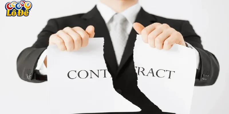 Vai trò pháp lý trong mối quan hệ nhà cung cấp và người chơi