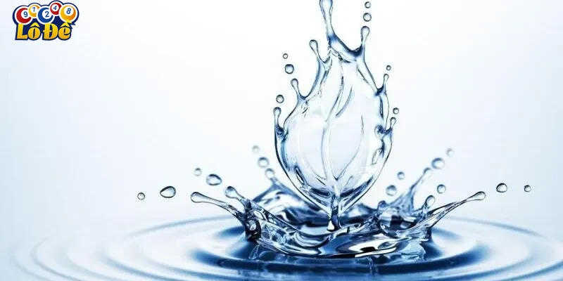 Lưu ý khi sử dụng giấc mơ thấy nước để cá cược tại Lô Đề Online