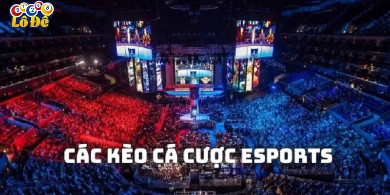 phan-tich-doi-tuyen-va-tran-dau Phân tích đội tuyển và trận đấu